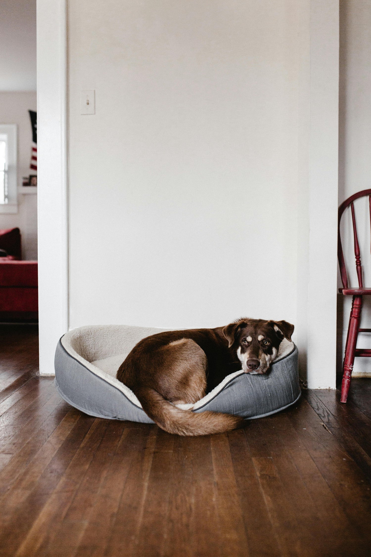 Comfortable Pet Beds