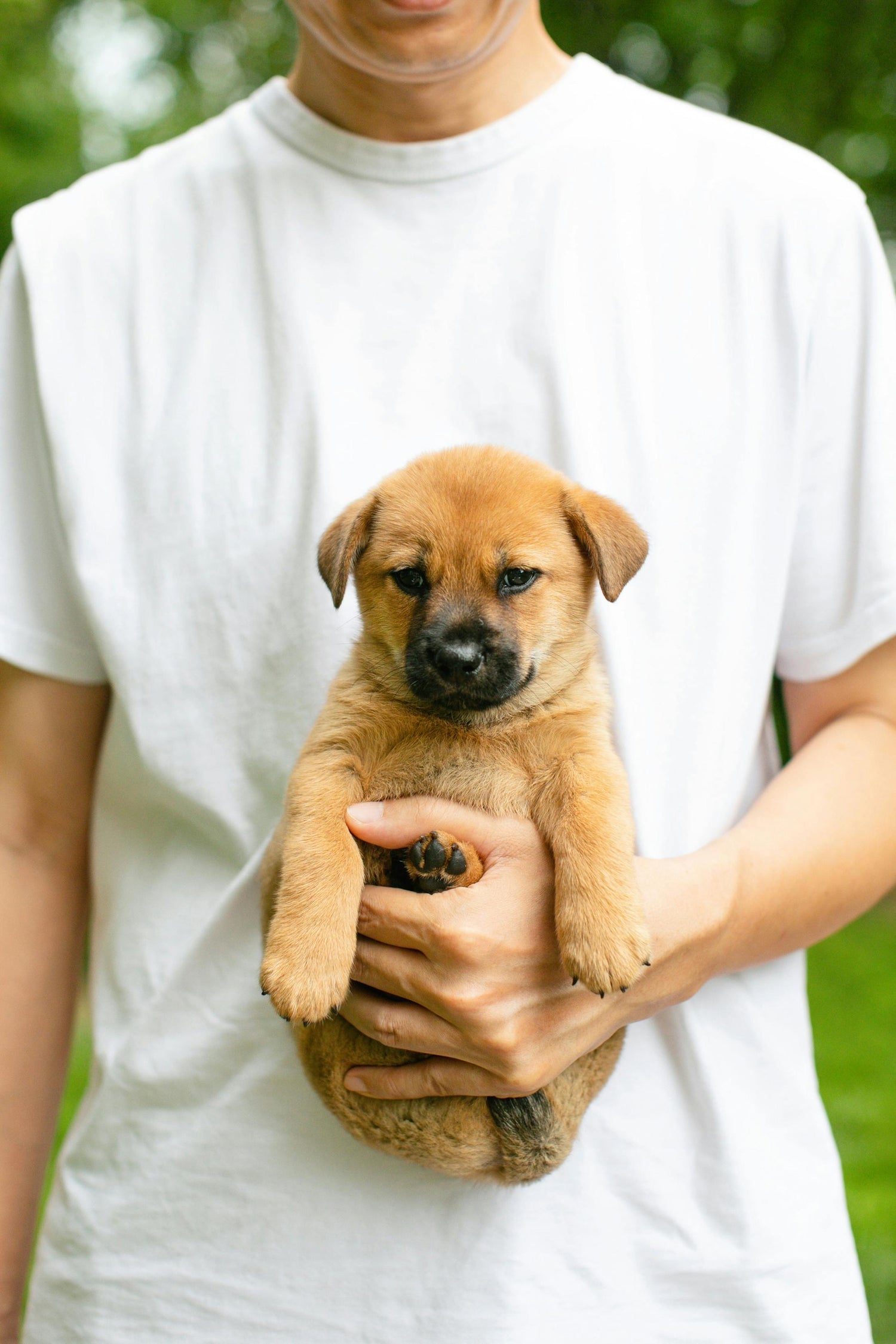 Pet-Themed T-Shirts