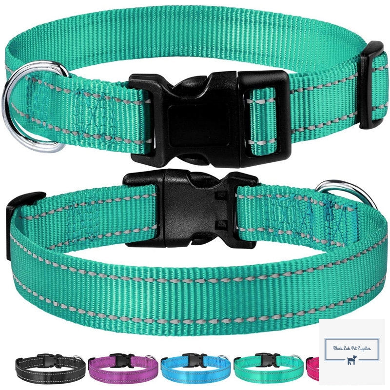 Reflective Dog Collar - High-Visibility and Durable 