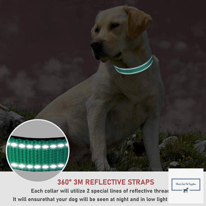 Reflective Dog Collar - Adjustable, Durable, and Safe