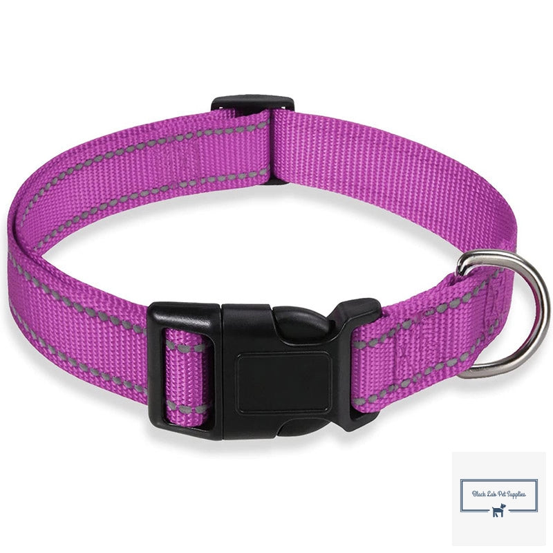 Reflective Dog Collar - High-Visibility and Durable 