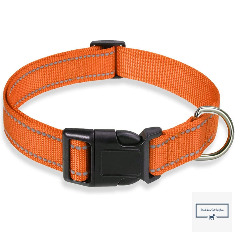 Reflective Dog Collar - High-Visibility and Durable 